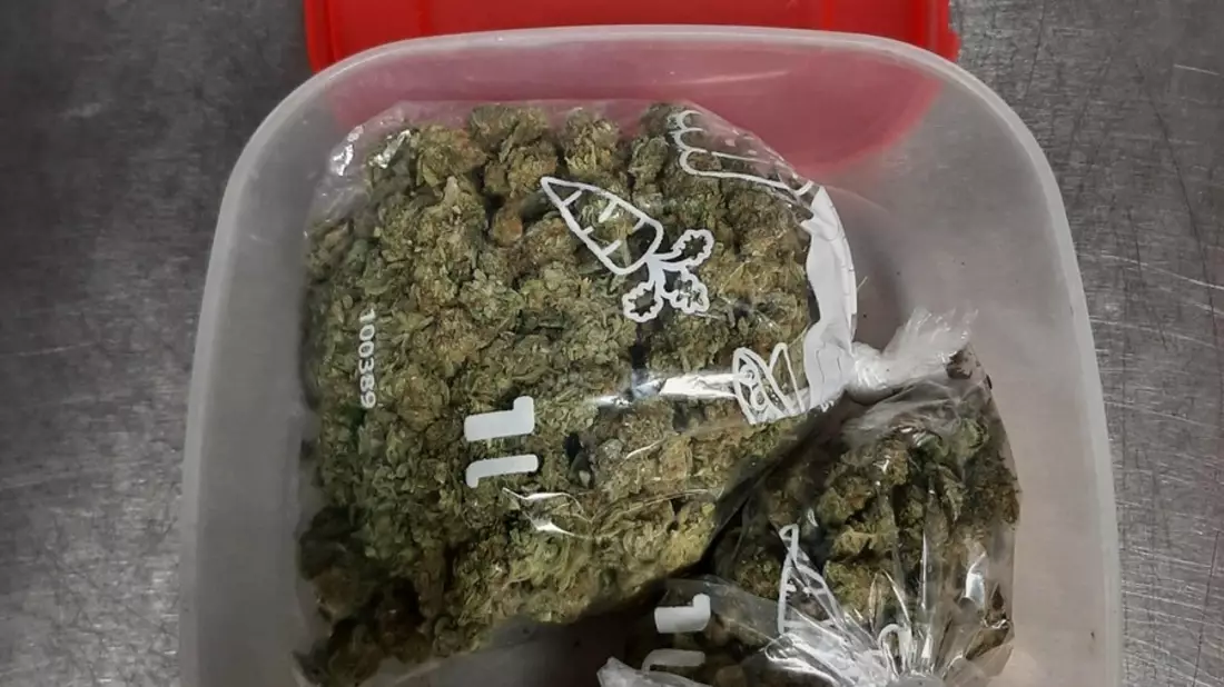 BPOL-HH: Hamburger Hauptbahnhof: Marihuana-Geruch an einem Gepäckschließfach wird 41-Jährigem zum Verhängnis- Vorläufige Festnahme und Beschlagnahme von Drogen durch Bundespolizei- - Bild: presseportal.de