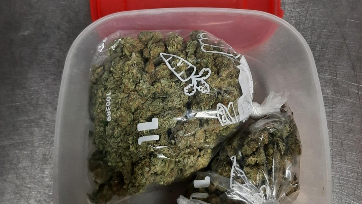 BPOL-HH: Hamburger Hauptbahnhof: Marihuana-Geruch an einem Gepäckschließfach wird 41-Jährigem zum Verhängnis- Vorläufige Festnahme und Beschlagnahme von Drogen durch Bundespolizei- - Foto: presseportal.de