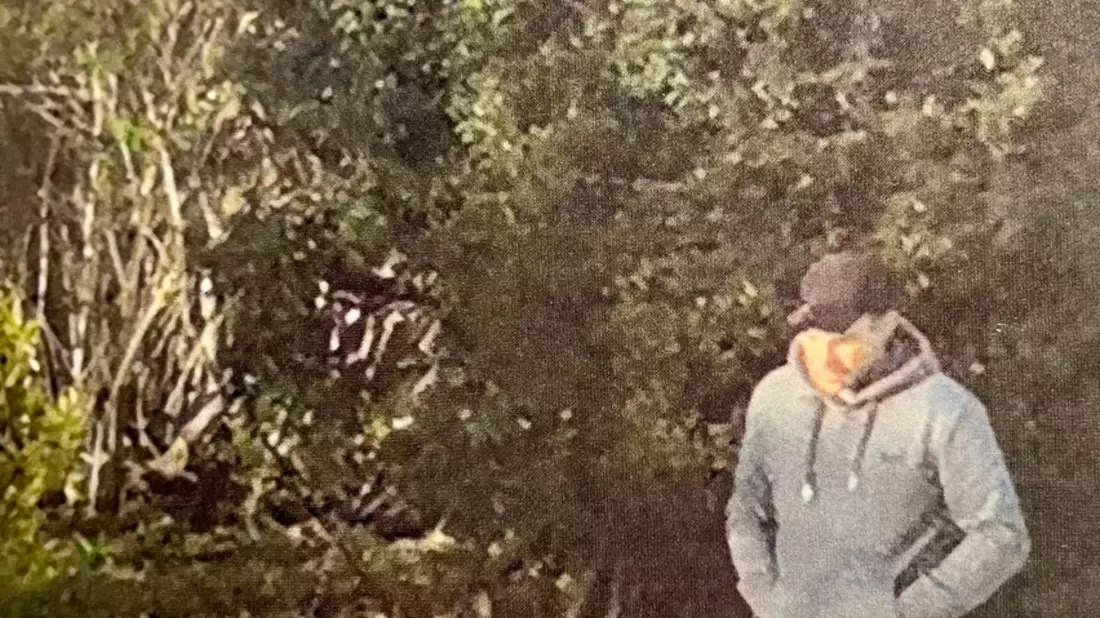 LPI-GTH: Öffentlichkeitsfahndung nach Diebstahl aus Pkw - Bild: presseportal.de