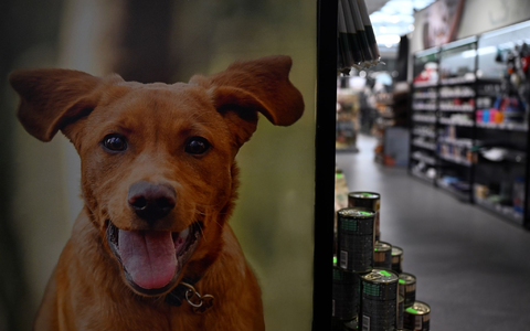 Fressnapf hat in Deutschland mehr als 900 Filialen. - Foto: Federico Gambarini/dpa