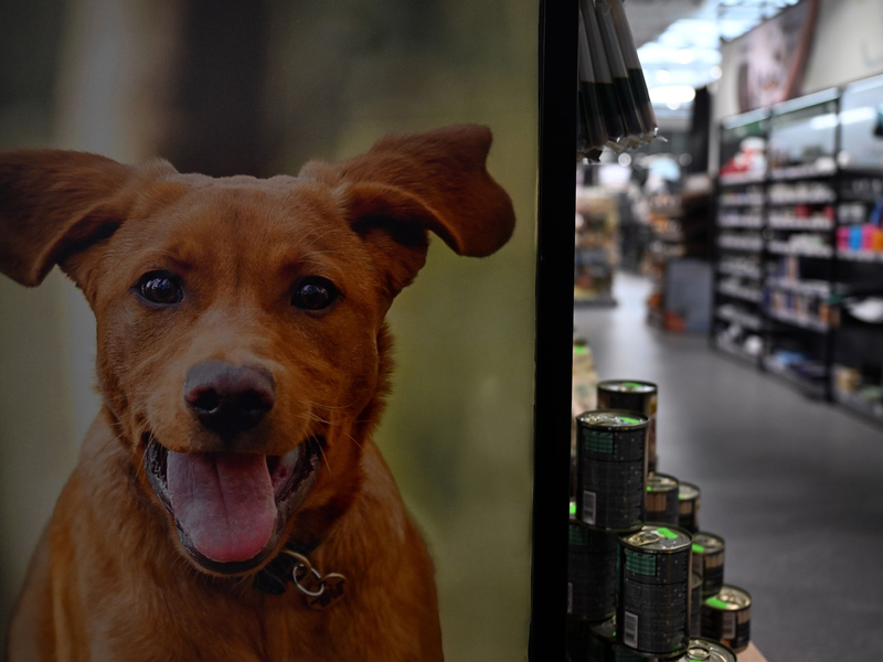 Fressnapf hat in Deutschland mehr als 900 Filialen. - Foto: Federico Gambarini/dpa