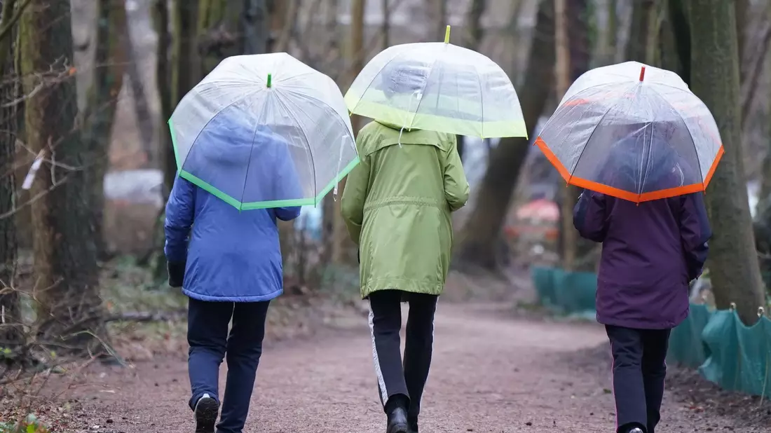 Spaziergang mit Regenschirmen in Hamburg. - Bild: Marcus Brandt/dpa
