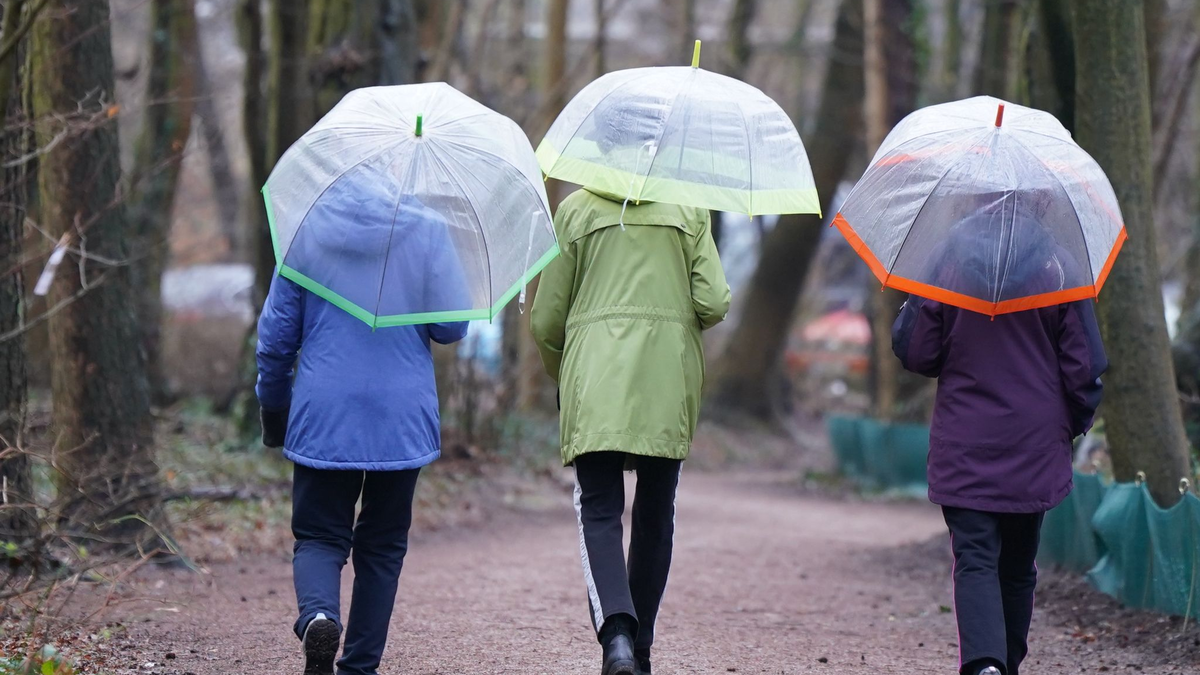 Spaziergang mit Regenschirmen in Hamburg. - Foto: Marcus Brandt/dpa