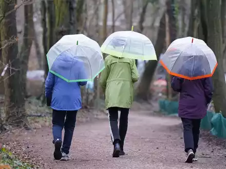 Spaziergang mit Regenschirmen in Hamburg. - Foto: Marcus Brandt/dpa
