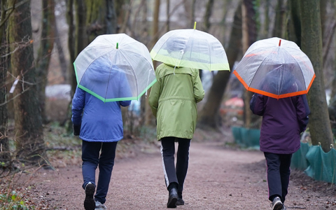 Spaziergang mit Regenschirmen in Hamburg. - Foto: Marcus Brandt/dpa