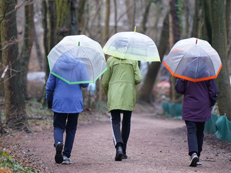 Spaziergang mit Regenschirmen in Hamburg. - Foto: Marcus Brandt/dpa