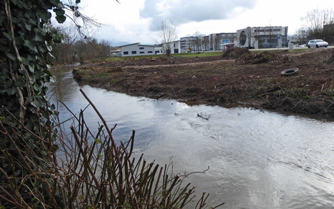 POL-FR: Emmendingen: Verbotene Rodungsarbeiten - Zeugen gesucht - Foto: presseportal.de