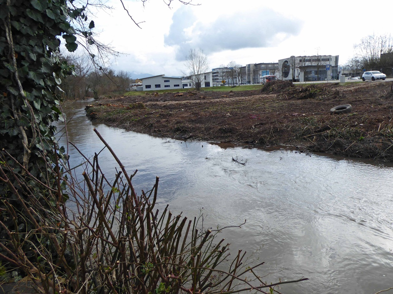 POL-FR: Emmendingen: Verbotene Rodungsarbeiten - Zeugen gesucht - Foto: presseportal.de