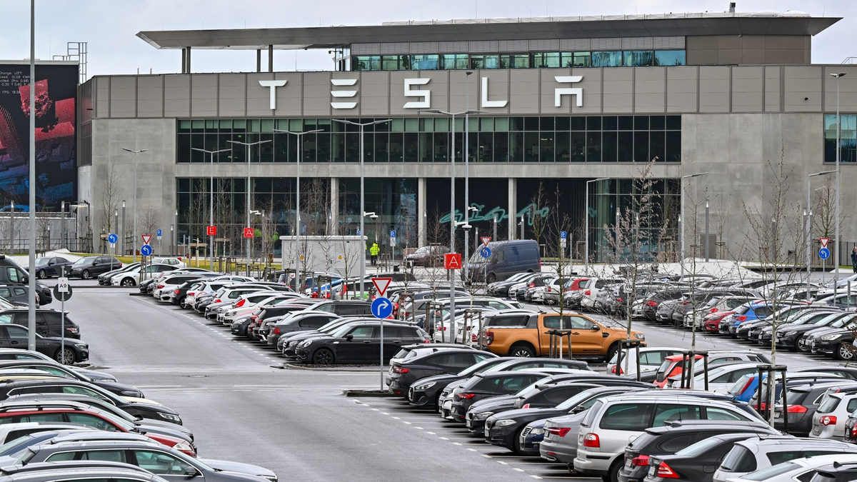 Im brandenburgischen Grünheide gab es eine Bürgerbefragung über die Pläne des Autobauers Tesla zur Erweiterung des Fabrikgeländes. - Foto: Patrick Pleul/dpa