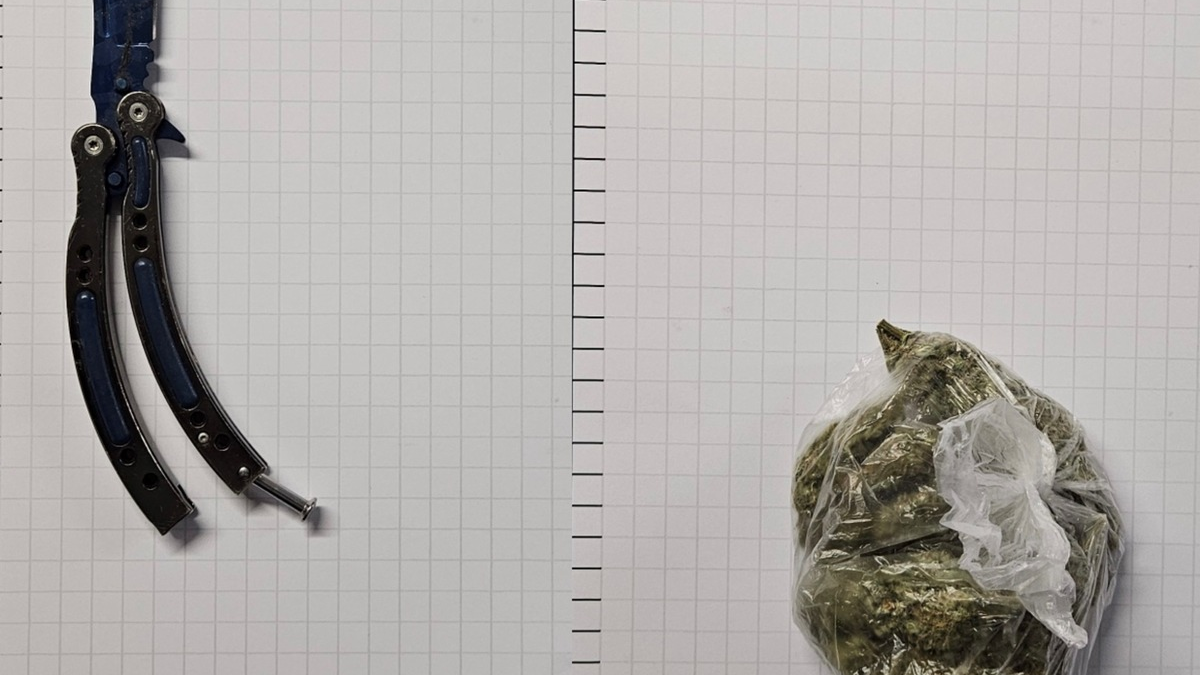 BPOL NRW: Bundespolizei stellt Drogen und Waffe im Schnellzug sicher - Foto: presseportal.de