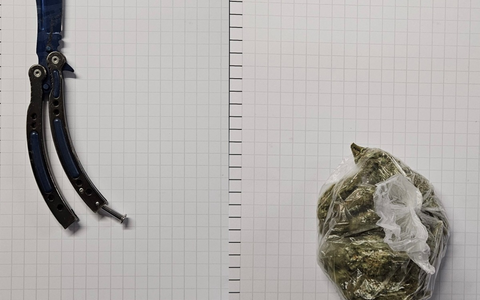 BPOL NRW: Bundespolizei stellt Drogen und Waffe im Schnellzug sicher - Foto: presseportal.de