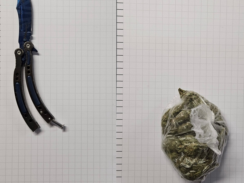 BPOL NRW: Bundespolizei stellt Drogen und Waffe im Schnellzug sicher - Foto: presseportal.de