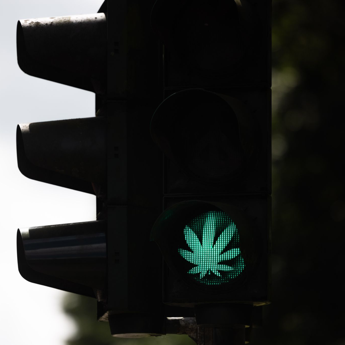 Der Bundestag hat die kontrollierte Cannabis-Freigabe beschlossen. - Foto: Rolf Vennenbernd/dpa