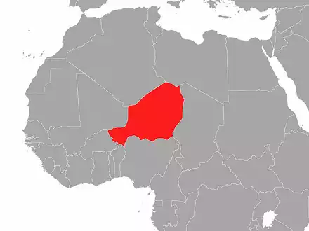 Niger (Archiv) - Foto: über dts Nachrichtenagentur