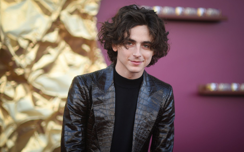 Timothee Chalamet spielt die Hauptrolle im zweiten «Dune»-Film. - Foto: Richard Shotwell/Invision/AP/dpa