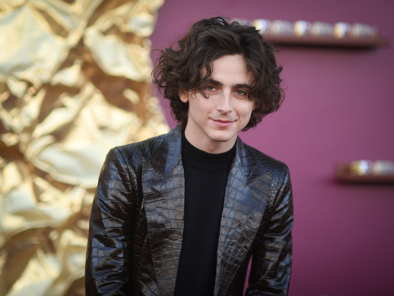 Timothee Chalamet spielt die Hauptrolle im zweiten «Dune»-Film. - Foto: Richard Shotwell/Invision/AP/dpa