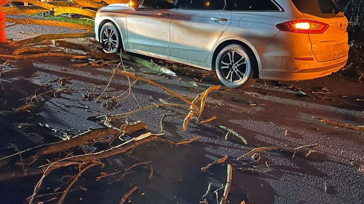 FW Xanten: Fünf Sturmeinsätze für die Feuerwehr Xanten - Foto: presseportal.de