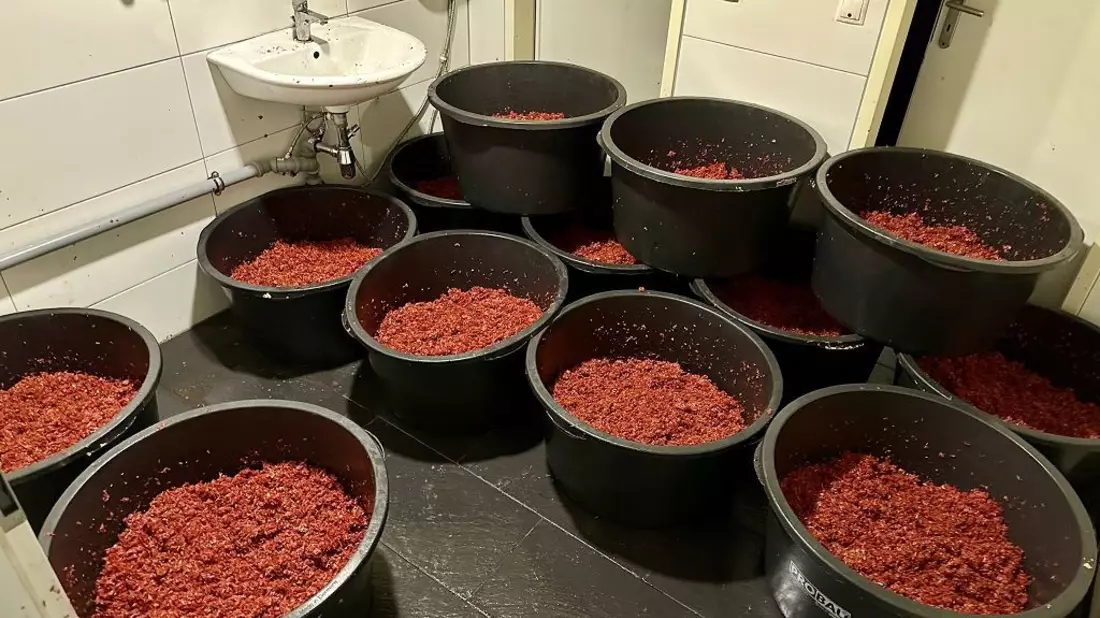 ZOLL-F: Zollfahndung Frankfurt hebt illegale Shisha-Tabak Fabriken aus - Mehr als 2,2 Tonnen unversteuerter Wasserpfeifentabak sichergestellt - Bild: presseportal.de