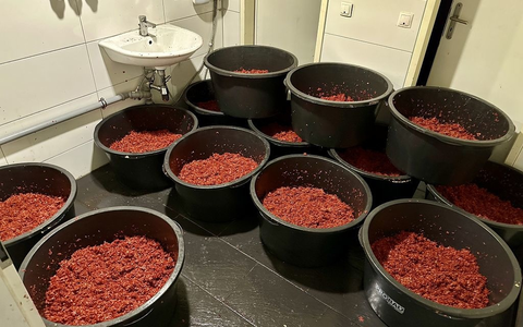 ZOLL-F: Zollfahndung Frankfurt hebt illegale Shisha-Tabak Fabriken aus - Mehr als 2,2 Tonnen unversteuerter Wasserpfeifentabak sichergestellt - Foto: presseportal.de