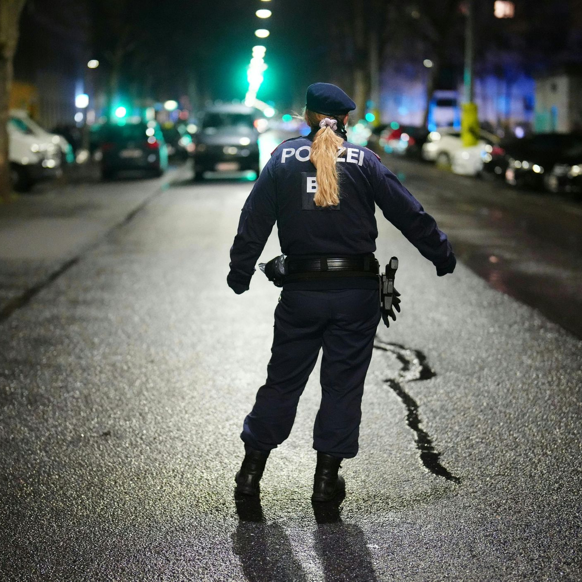 Drei Frauen sind in einem Bordell in Wien-Brigittenau tot aufgefunden worden. Ein Tatverdächtiger befindet sich in Polizeigewahrsam. - Foto: Georg Hochmuth/APA/dpa