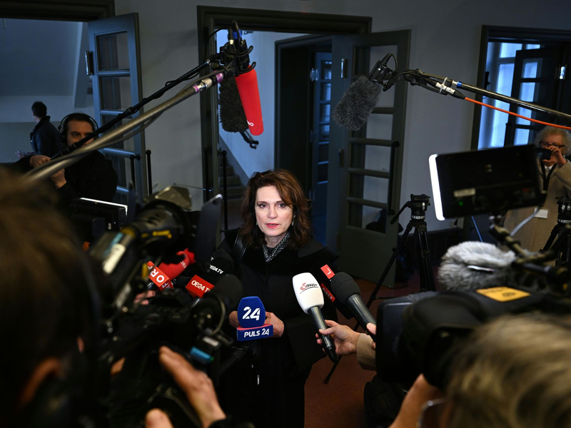 Anwältin Astrid Wagner vor Verhandlungsbeginn des Prozesses im österreichischen Krems. - Foto: Helmut Fohringer/APA/dpa