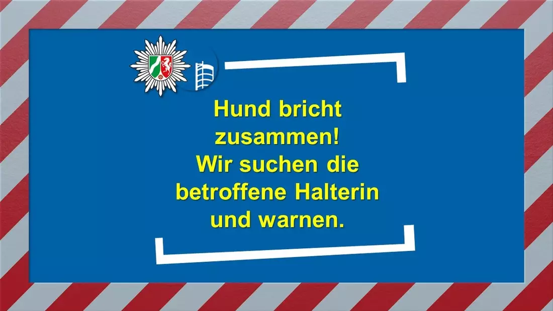POL-OB: Hund bricht zusammen! Wir suchen die betroffene Halterin und warnen. - Bild: presseportal.de