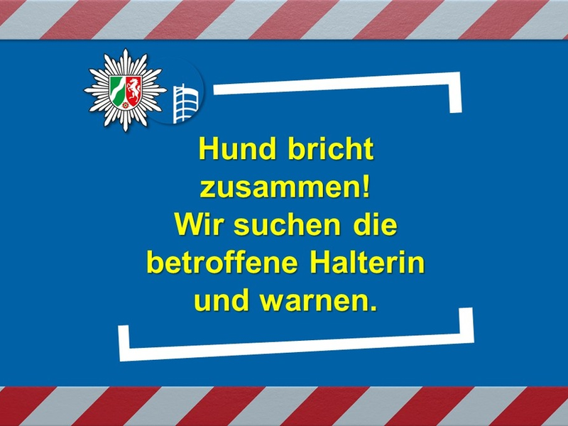POL-OB: Hund bricht zusammen! Wir suchen die betroffene Halterin und warnen. - Foto: presseportal.de
