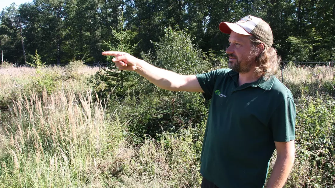 Neues FSC-Magazin - Aktuelles aus Wald und Verarbeitung - Bild: presseportal.de