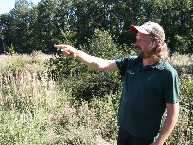 Neues FSC-Magazin - Aktuelles aus Wald und Verarbeitung - Foto: presseportal.de