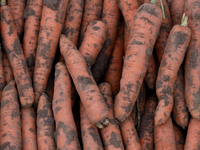 Im vergangenen Jahr wurden in Deutschland 3,9 Millionen Tonnen Gemüse geerntet. - Foto: Swen Pförtner/dpa