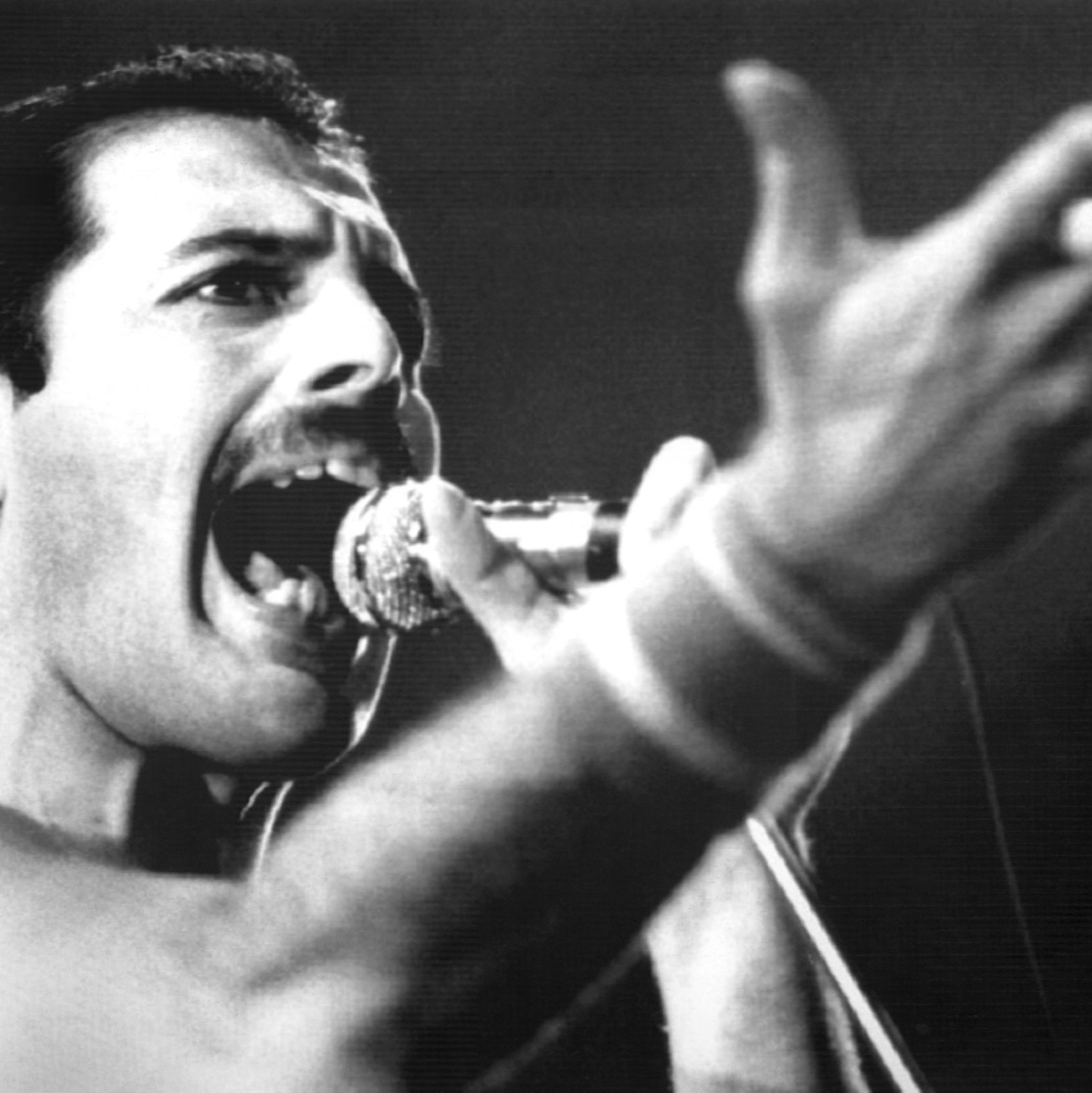 Freddie Mercury, Leadsänger der britischen Rockgruppe Queen, bei einem Auftritt im September 1984. - Foto: dpa/dpa