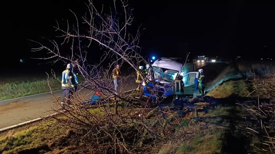 FW Ense: Kleintransporter kollidiert frontal mit Baum - Bild: presseportal.de