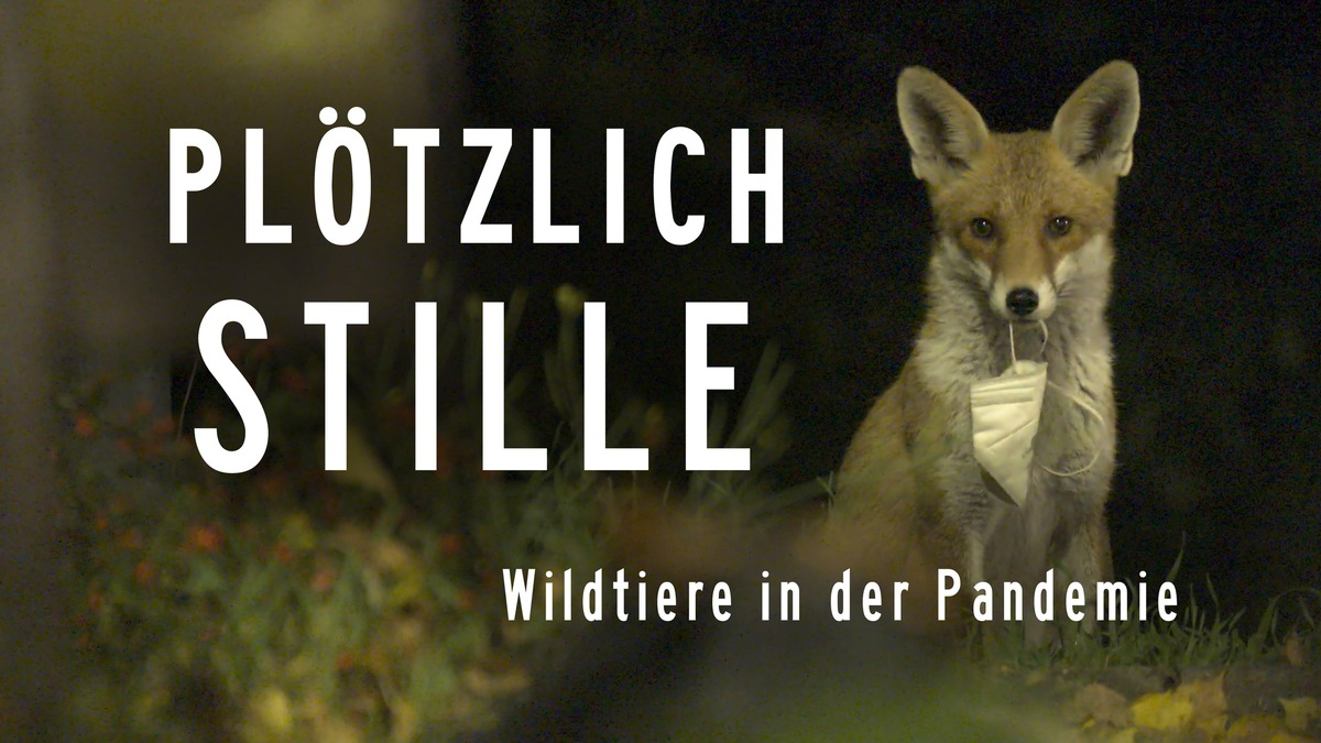 MDR-Koproduktion „Plötzlich Stille – Wildtiere in der Pandemie“ im Ersten - Foto: presseportal.de