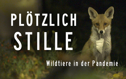 MDR-Koproduktion „Plötzlich Stille – Wildtiere in der Pandemie“ im Ersten - Foto: presseportal.de