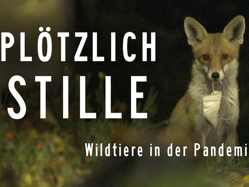 MDR-Koproduktion „Plötzlich Stille – Wildtiere in der Pandemie“ im Ersten - Foto: presseportal.de