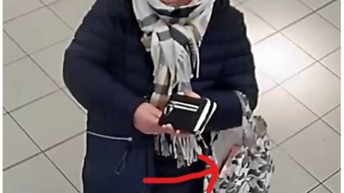 POL-BS: Öffentlichkeitsfahndung nach gewerbsmäßigem Ladendiebstahl - Foto: presseportal.de