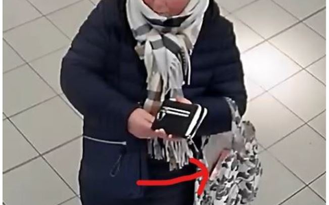POL-BS: Öffentlichkeitsfahndung nach gewerbsmäßigem Ladendiebstahl - Foto: presseportal.de