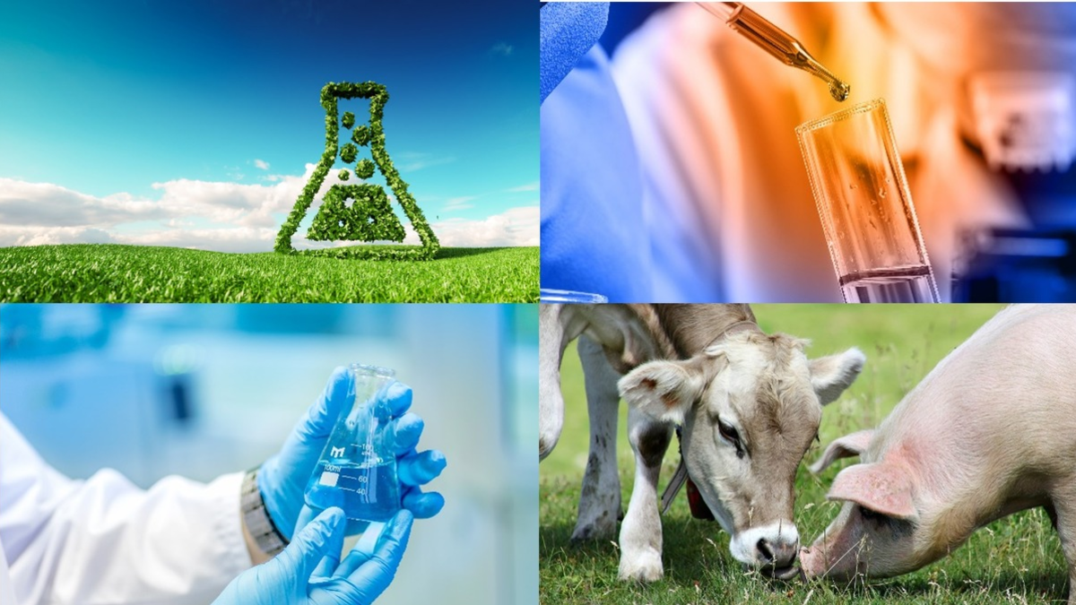 Triskelion tritt der CERTANIA-Gruppe bei / Hochleistungslabor für Lebensmittelsicherheit und frühklinische Biopharmazeutika macht den nächsten strategischen Schritt - Foto: presseportal.de