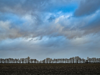 Der Winter war viel zu nass und zu warm. - Foto: Patrick Pleul/dpa