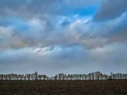 Der Winter war viel zu nass und zu warm. - Foto: Patrick Pleul/dpa