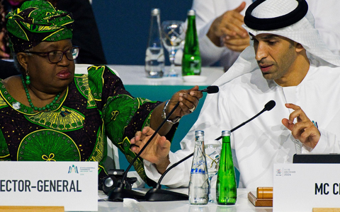 Der emiratische Staatsminister für Außenhandel, Thani bin Ahmed al-Zeyoudi, sitzt neben der Generaldirektorin der Welthandelsorganisation, Ngozi Okonjo-Iweala, beim 13. Ministertreffen der Welthandelsorganisation. - Foto: Jon Gambrell/AP/dpa