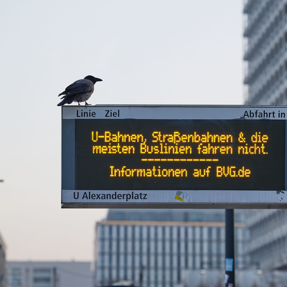 Eine Anzeigetafel einer Tramstation am Berliner Alexanderplatz macht auf den ganztägigen Warnstreik aufmerksam. - Foto: Jörg Carstensen/dpa