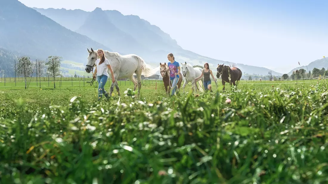 Sattelt die Pferde, wir reiten in die Berge - Bild: presseportal.de