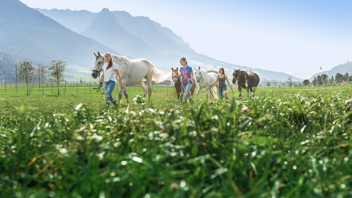 Sattelt die Pferde, wir reiten in die Berge - Foto: presseportal.de