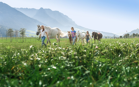 Sattelt die Pferde, wir reiten in die Berge - Foto: presseportal.de