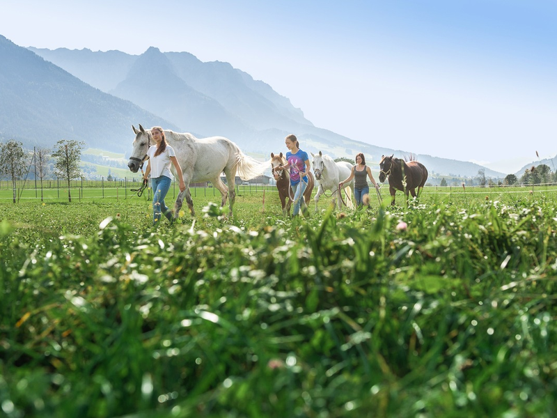 Sattelt die Pferde, wir reiten in die Berge - Foto: presseportal.de