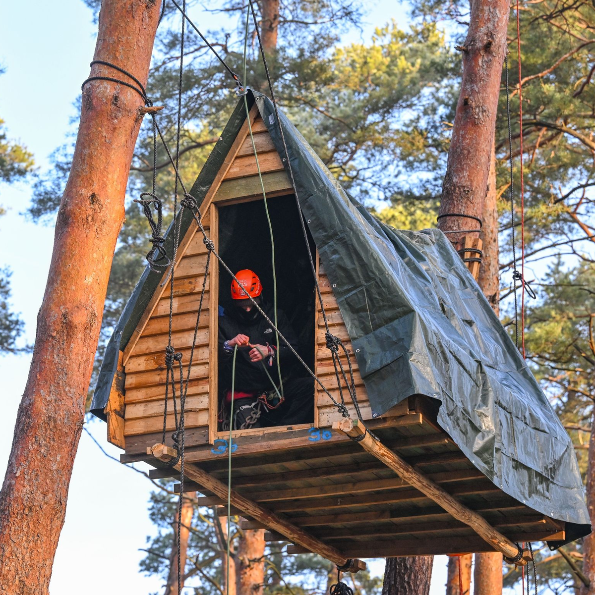 Eine Aktivist der Initiative «Tesla stoppen» sitzt in einem Baumhaus in einem Kiefernwald nahe der Tesla-Gigafactory in Grünheide. - Foto: Patrick Pleul/dpa
