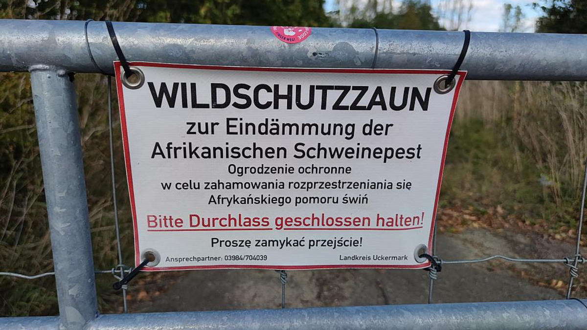 Wildschutzzaun (Archiv) - Foto: über dts Nachrichtenagentur