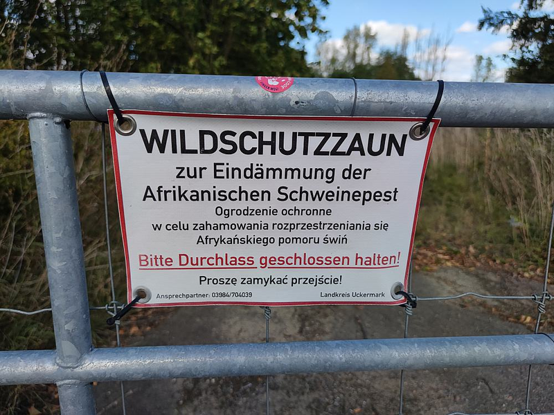 Wildschutzzaun (Archiv) - Foto: über dts Nachrichtenagentur