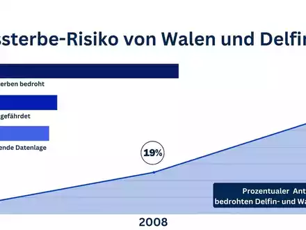 Jede vierte Wal- und Delfinart vom Aussterben bedroht - Pressemitteilung zum Tag des Artenschutzes am 3. März 2024 - Foto: presseportal.de